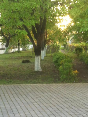 Гостиница Piroshka Hotel  Берегово
